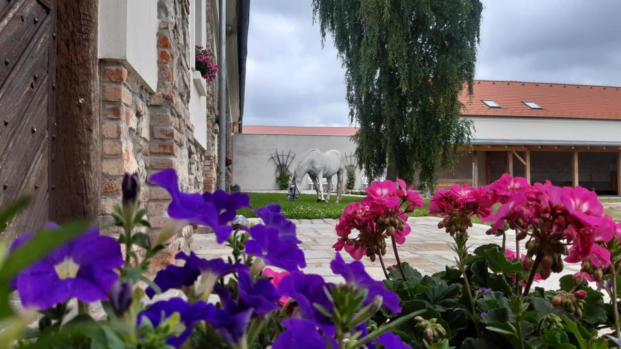 Korn-Hof Aparthotel Kornatice Εξωτερικό φωτογραφία